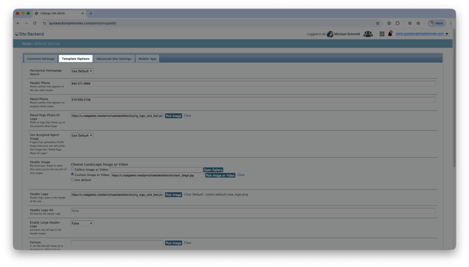 website-settings-template-options